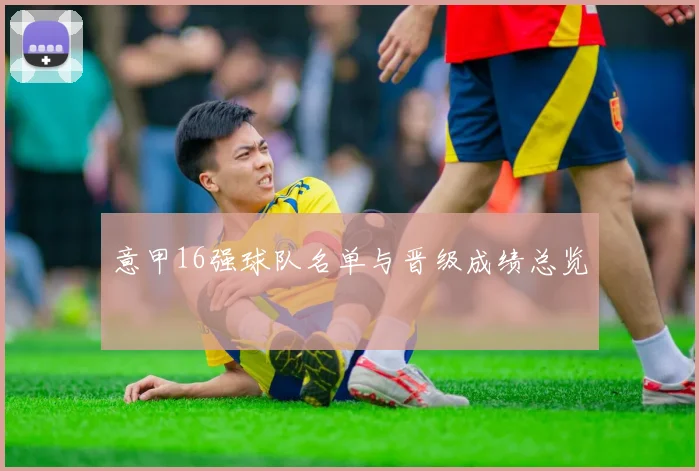 意甲16强球队名单与晋级成绩总览