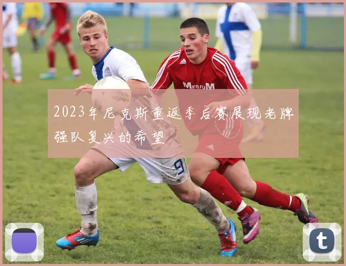 2023年尼克斯重返季后赛展现老牌强队复兴的希望