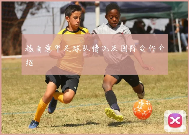 越南意甲足球队情况及国际合作介绍