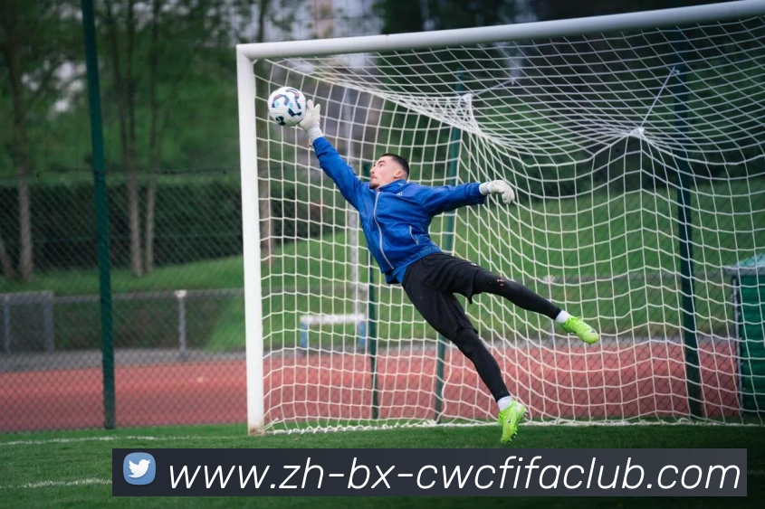 世界杯竞猜平台生态图