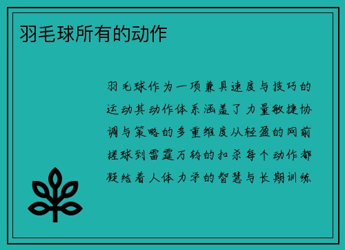 羽毛球所有的动作