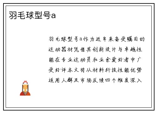 羽毛球型号a