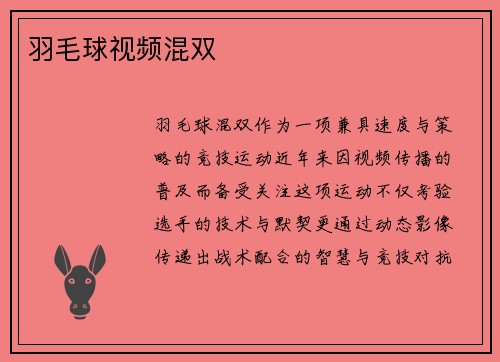 羽毛球视频混双